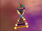 DNA model